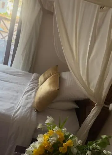 Elisir Domina Coral Bay Şarm El-Şeyh